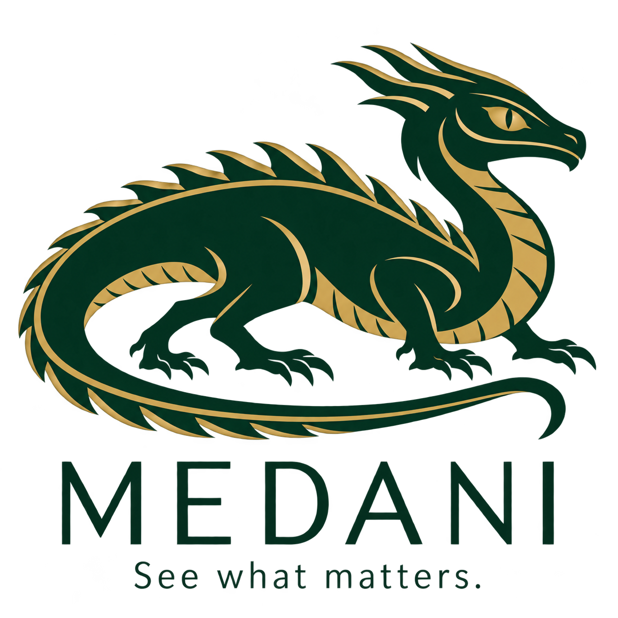 House Medani modern logo